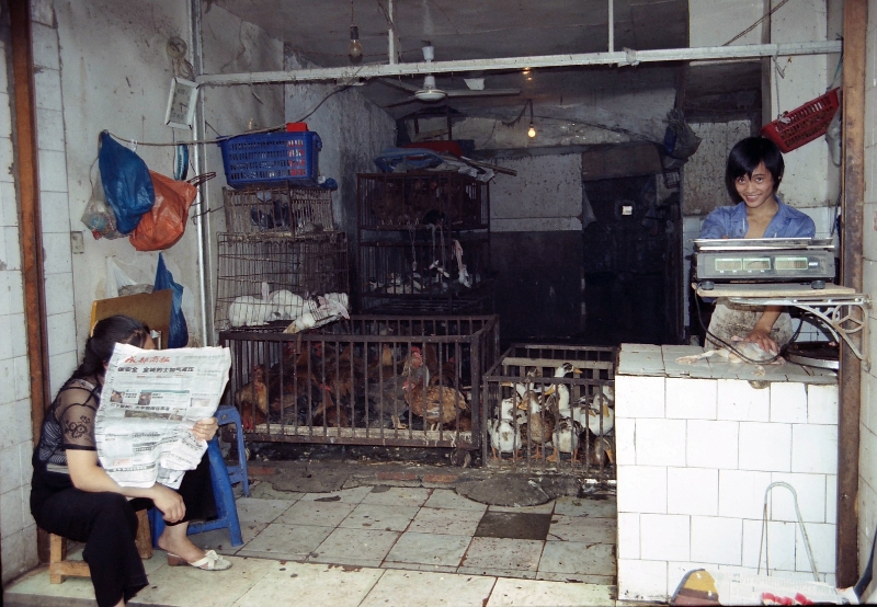chicken shop, Chengdu China.jpg